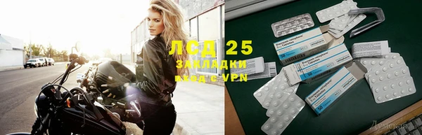 ПСИЛОЦИБИНОВЫЕ ГРИБЫ Осинники