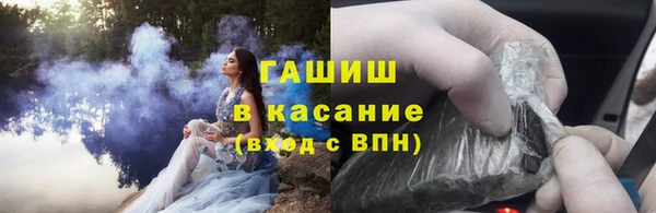ПСИЛОЦИБИНОВЫЕ ГРИБЫ Осинники
