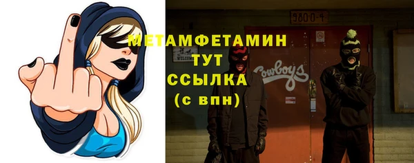 ПСИЛОЦИБИНОВЫЕ ГРИБЫ Осинники