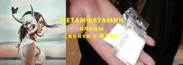 ПСИЛОЦИБИНОВЫЕ ГРИБЫ Осинники
