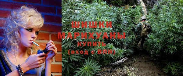 ПСИЛОЦИБИНОВЫЕ ГРИБЫ Осинники