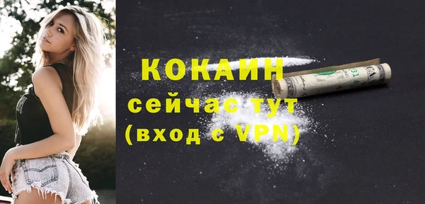 ешки Горняк