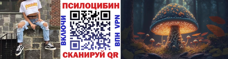 Псилоцибиновые грибы прущие грибы  где купить наркоту  Александровск-Сахалинский 