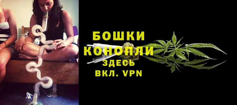 где купить   Александровск-Сахалинский  Бошки Шишки Ganja 